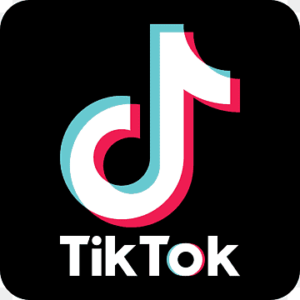 “To Ban or Not to Ban: Exploring the Pros and Cons of TikTok”